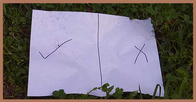 "Choosing Signs" An Owen Dara Film